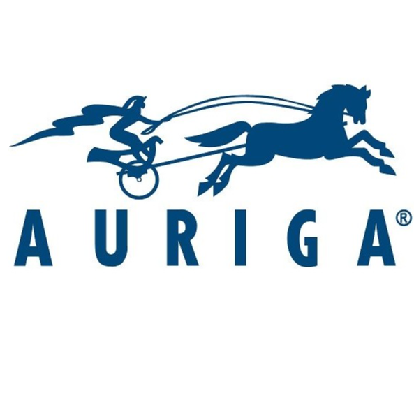 auriga1-photoaidcom-cropped